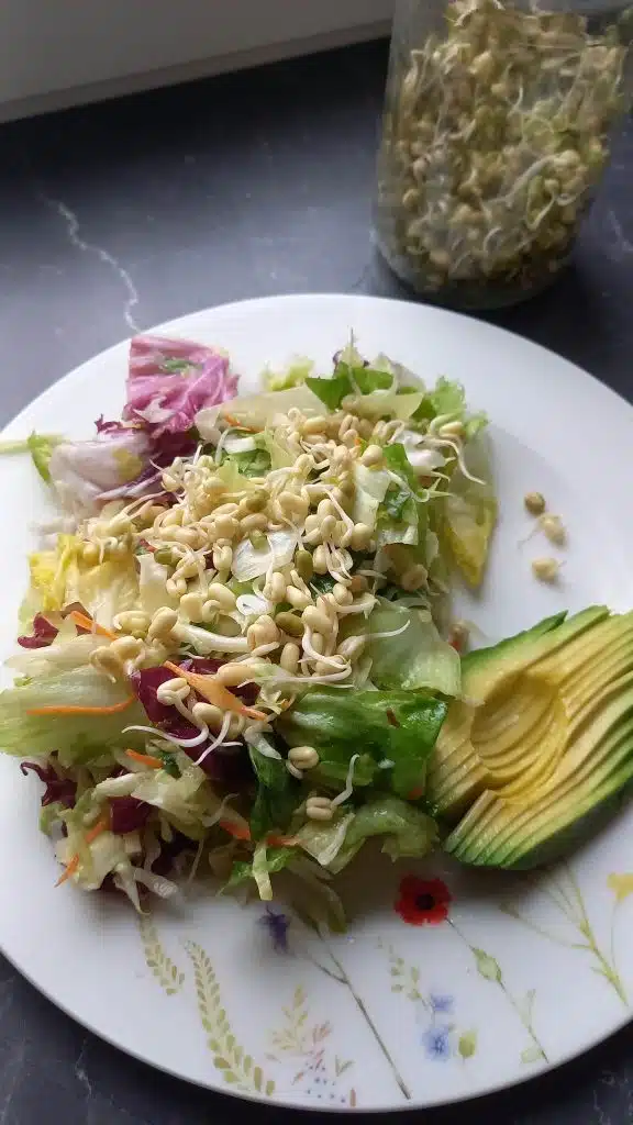 Avocado cu salata si germeni de fasole mung