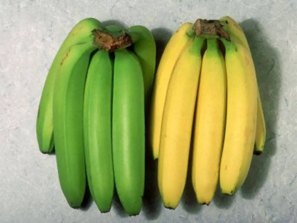 Despre fructe banane verzi si banane coapte
