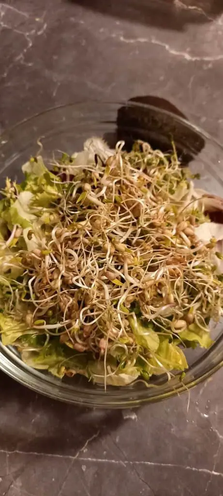 Salata cu germeni de fasole mung