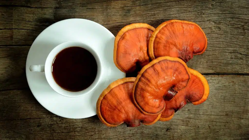 Ceai de ganoderma ceai de reishi