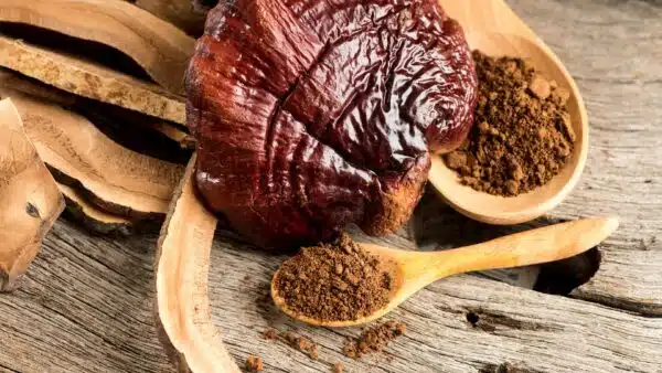 Ciuperca Reishi sau Ganoderma – 10 Beneficii + Dozaj și Contraindicații